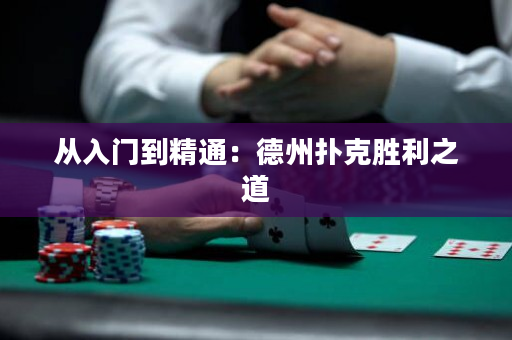 从入门到精通：德州扑克胜利之道