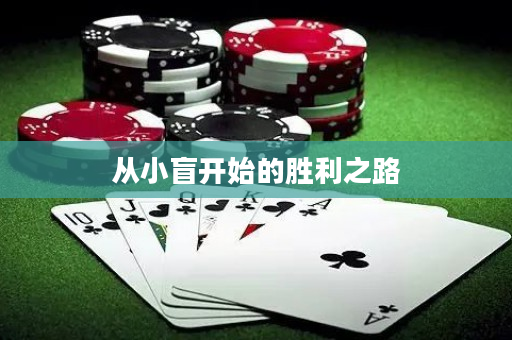 从小盲开始的胜利之路