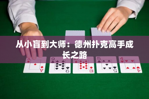 从小盲到大师：德州扑克高手成长之路
