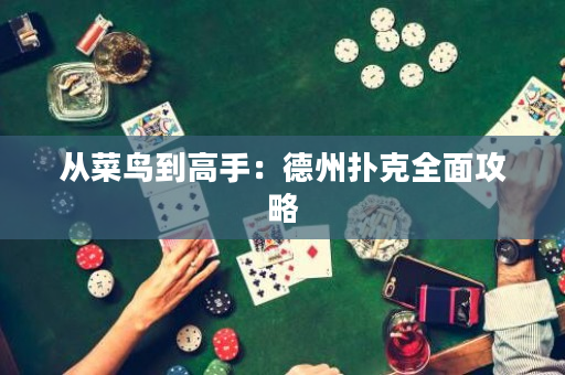从菜鸟到高手：德州扑克全面攻略