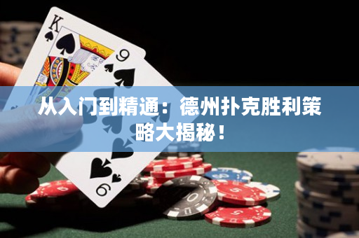 从入门到精通：德州扑克胜利策略大揭秘！