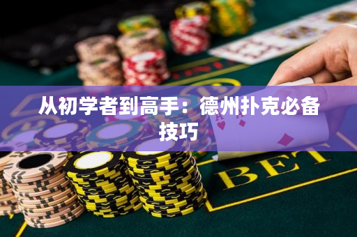 从初学者到高手：德州扑克必备技巧