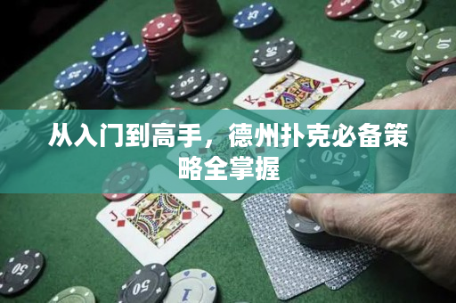 从入门到高手，德州扑克必备策略全掌握