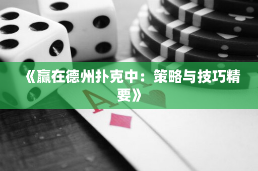 《赢在德州扑克中：策略与技巧精要》