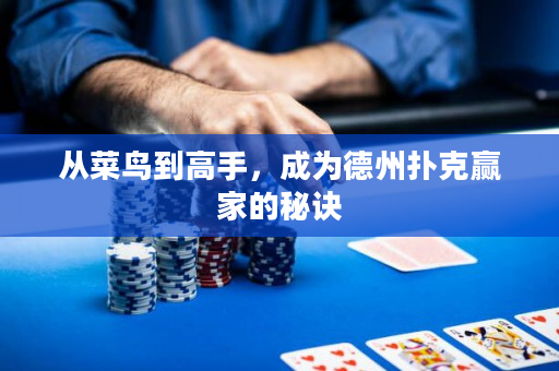 从菜鸟到高手，成为德州扑克赢家的秘诀