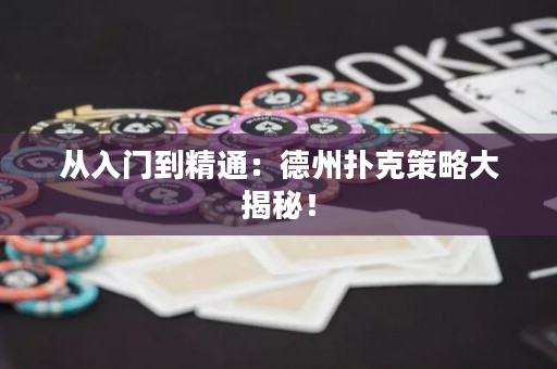 从入门到精通：德州扑克策略大揭秘！