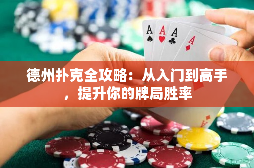 德州扑克全攻略：从入门到高手，提升你的牌局胜率
