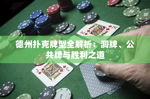 德州扑克牌型全解析：洞牌、公共牌与胜利之道