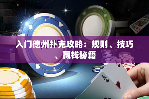 入门德州扑克攻略：规则、技巧、赢钱秘籍