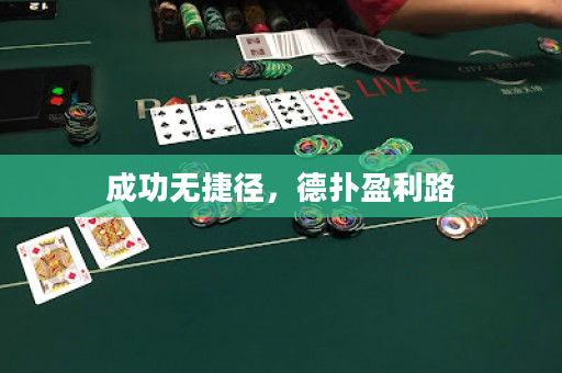 成功无捷径，德扑盈利路