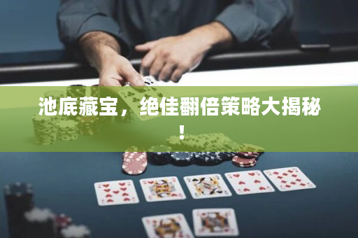 池底藏宝，绝佳翻倍策略大揭秘！