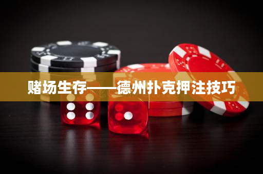 赌场生存——德州扑克押注技巧