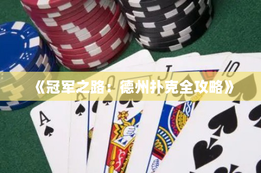 《冠军之路：德州扑克全攻略》