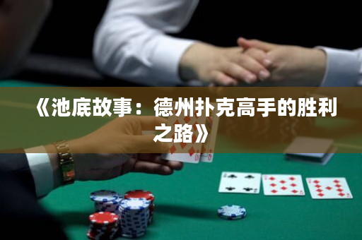 《池底故事：德州扑克高手的胜利之路》