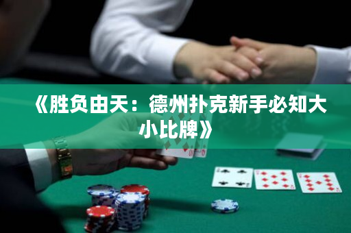 《胜负由天：德州扑克新手必知大小比牌》