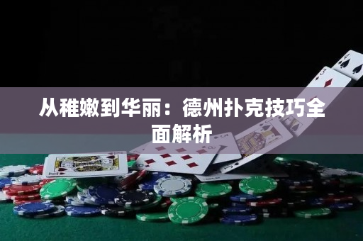 从稚嫩到华丽：德州扑克技巧全面解析