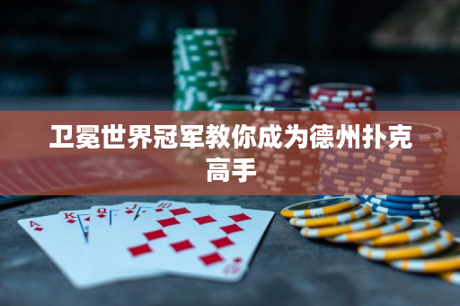 卫冕世界冠军教你成为德州扑克高手