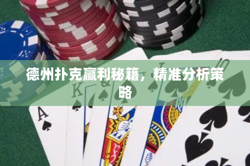 德州扑克赢利秘籍，精准分析策略