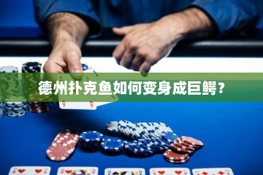 德州扑克鱼如何变身成巨鳄？