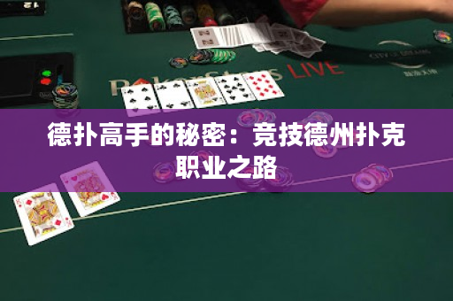 德扑高手的秘密：竞技德州扑克职业之路