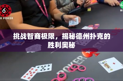 挑战智商极限，揭秘德州扑克的胜利奥秘