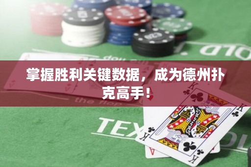 掌握胜利关键数据，成为德州扑克高手！