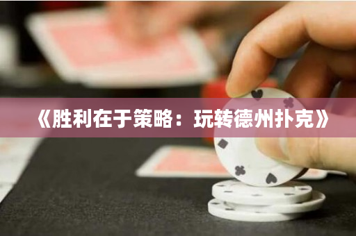 《胜利在于策略：玩转德州扑克》