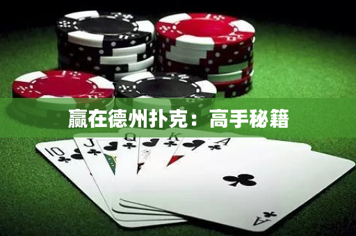 赢在德州扑克：高手秘籍