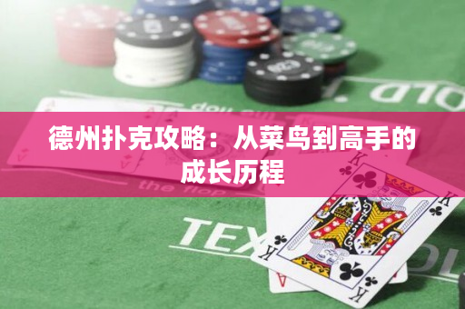 德州扑克攻略：从菜鸟到高手的成长历程