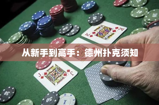 从新手到高手：德州扑克须知