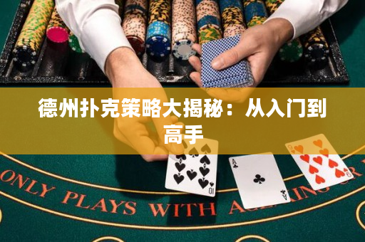 德州扑克策略大揭秘：从入门到高手