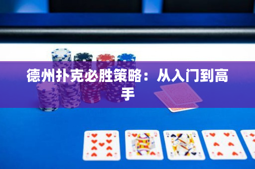 德州扑克必胜策略：从入门到高手