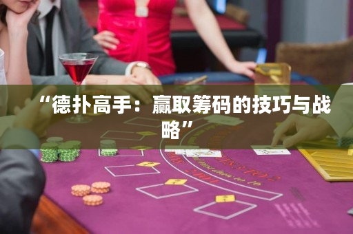 “德扑高手：赢取筹码的技巧与战略”