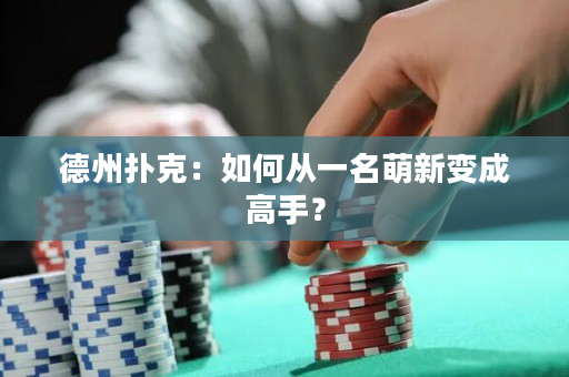 德州扑克：如何从一名萌新变成高手？