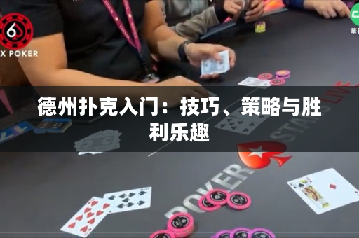 德州扑克入门：技巧、策略与胜利乐趣