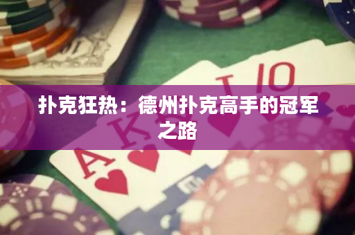 扑克狂热：德州扑克高手的冠军之路