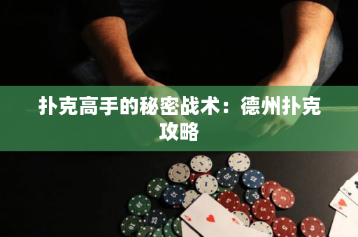 扑克高手的秘密战术：德州扑克攻略