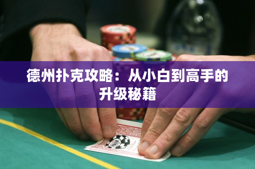 德州扑克攻略：从小白到高手的升级秘籍