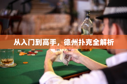 从入门到高手，德州扑克全解析