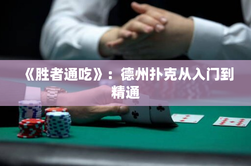 《胜者通吃》：德州扑克从入门到精通