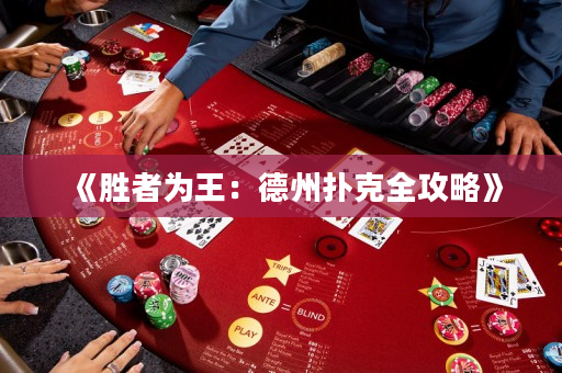 《胜者为王：德州扑克全攻略》