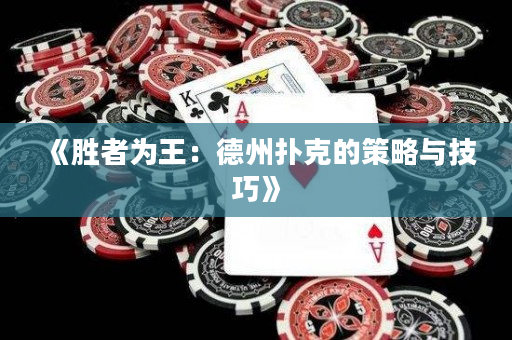 《胜者为王：德州扑克的策略与技巧》