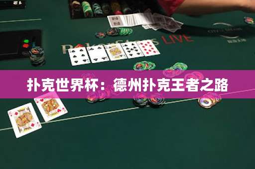 扑克世界杯：德州扑克王者之路