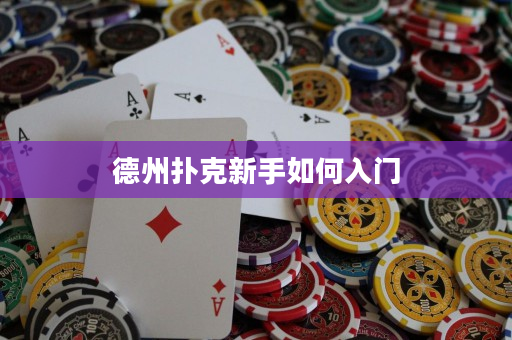德州扑克新手如何入门