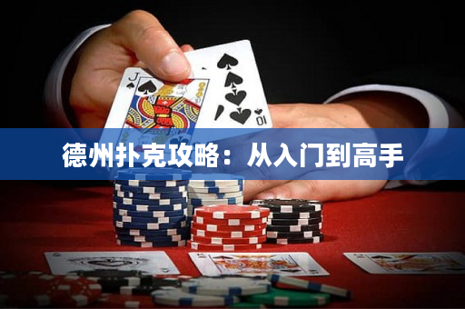 德州扑克攻略：从入门到高手