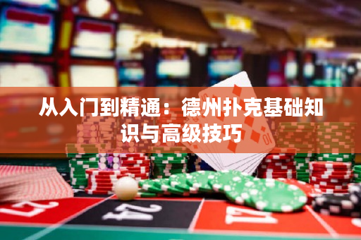 从入门到精通：德州扑克基础知识与高级技巧