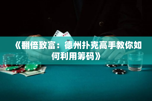 《翻倍致富：德州扑克高手教你如何利用筹码》