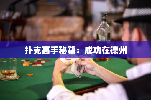 扑克高手秘籍：成功在德州