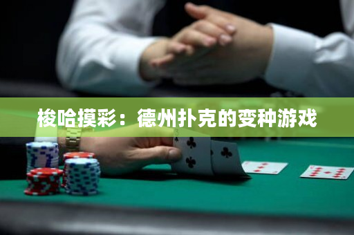梭哈摸彩：德州扑克的变种游戏