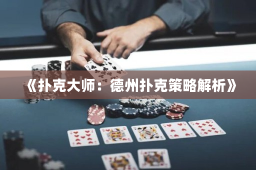 《扑克大师：德州扑克策略解析》